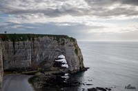 Normandië | Elshout-Natuurfotografie